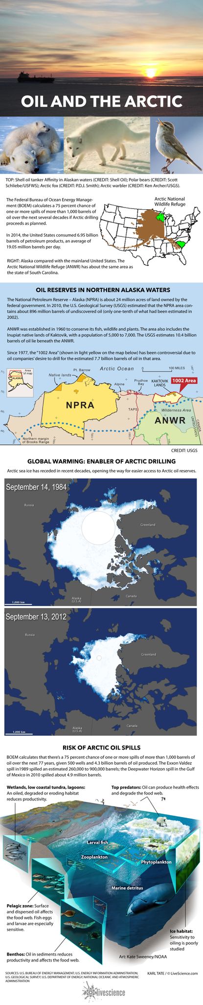 Details about oil-drilling areas in Alaska.