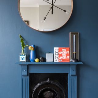 mirror on blue wall and plant plunger books on shelf