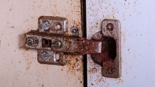 Door hinge with roach smears