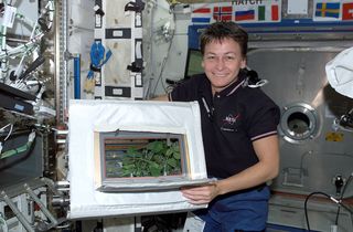 NASA astronaut Peggy Whitson happily displayed the progress of the Advanced Astroculture experiment aboard the International Space Station in July 2002.
