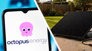 A phone showing the Octopus Energy logo next to a plug-in solar panel in a garden