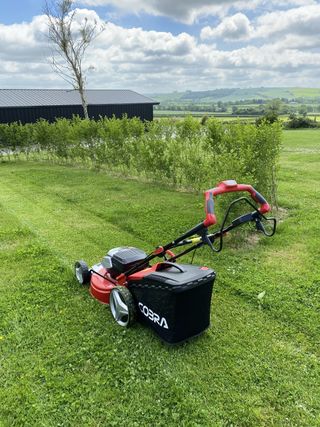 Cobra MX51S80V lawn mower in action on a large lawn area