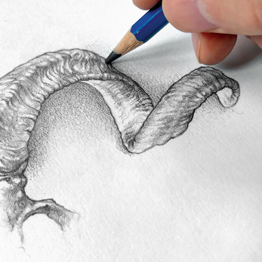 Drawing Of Shading Pencil