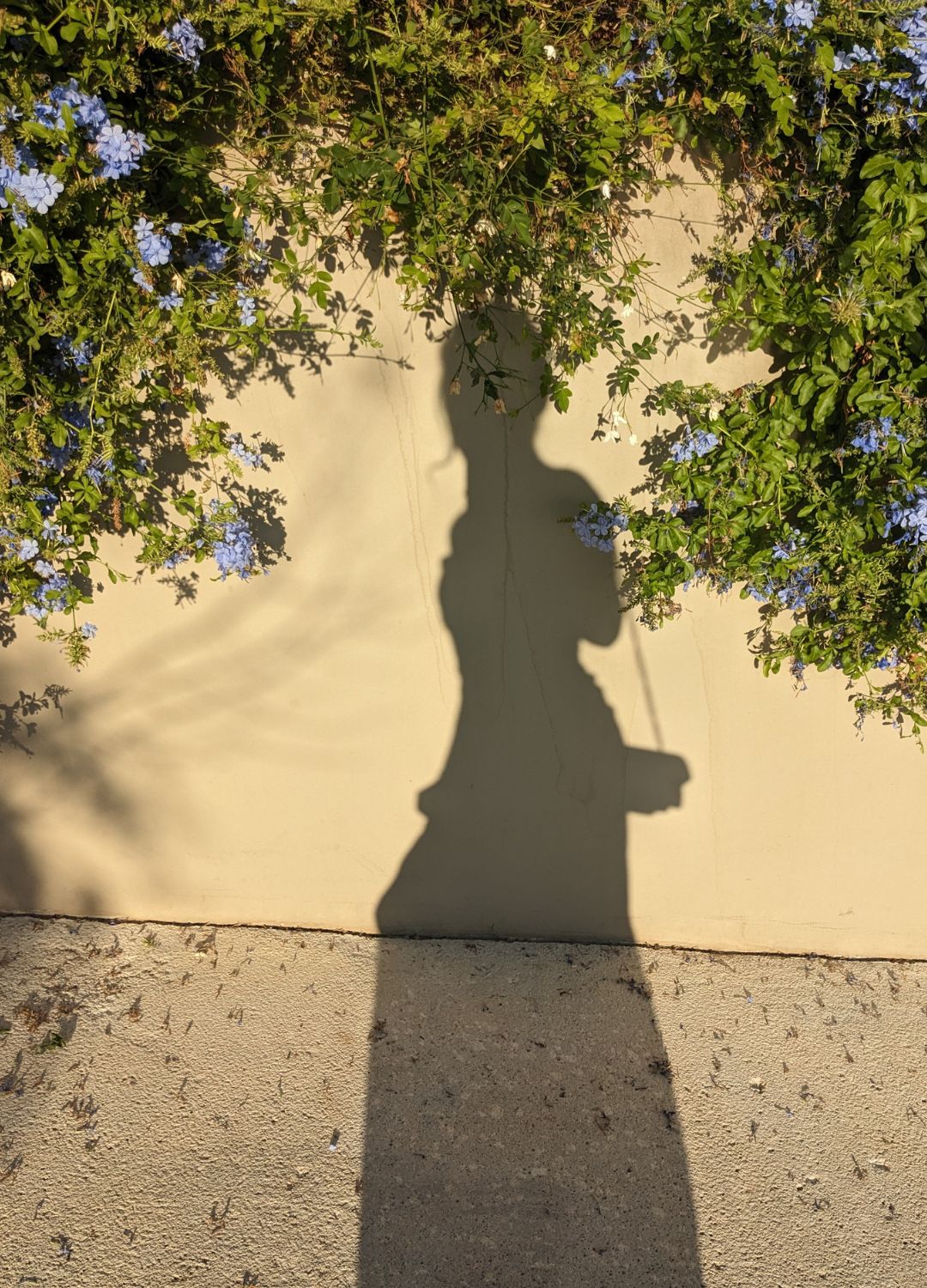 shadow of a girl traveling alone