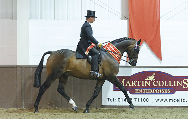 Jordan Cook and Fleetwater Xecutive