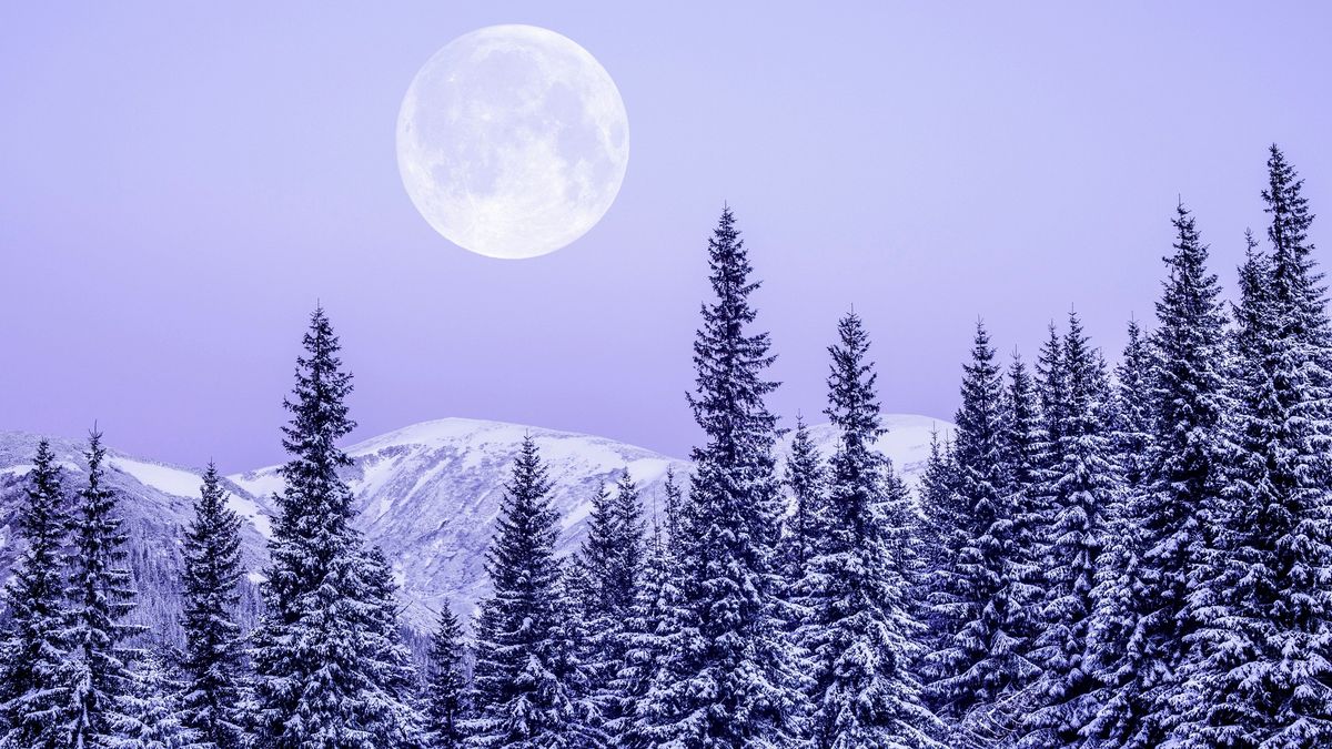 February full moon 2023 The Snow Moon rises with Jupiter, Mars and