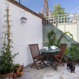 Courtyard garden with climbing plants and small bistro set
