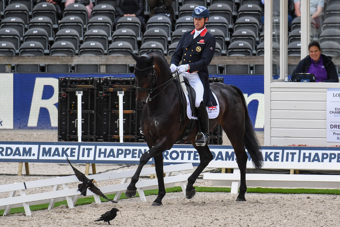 Carl Hester_Hawtins Delicato_EurosRotterdam_PN19_58495