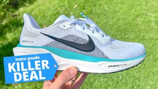 a photo of the Nike Pegasus 41