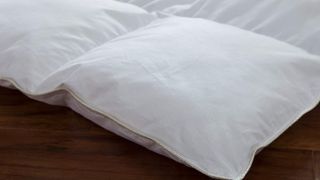 Egyptian Bedding Siberian Goose Down Comforter review