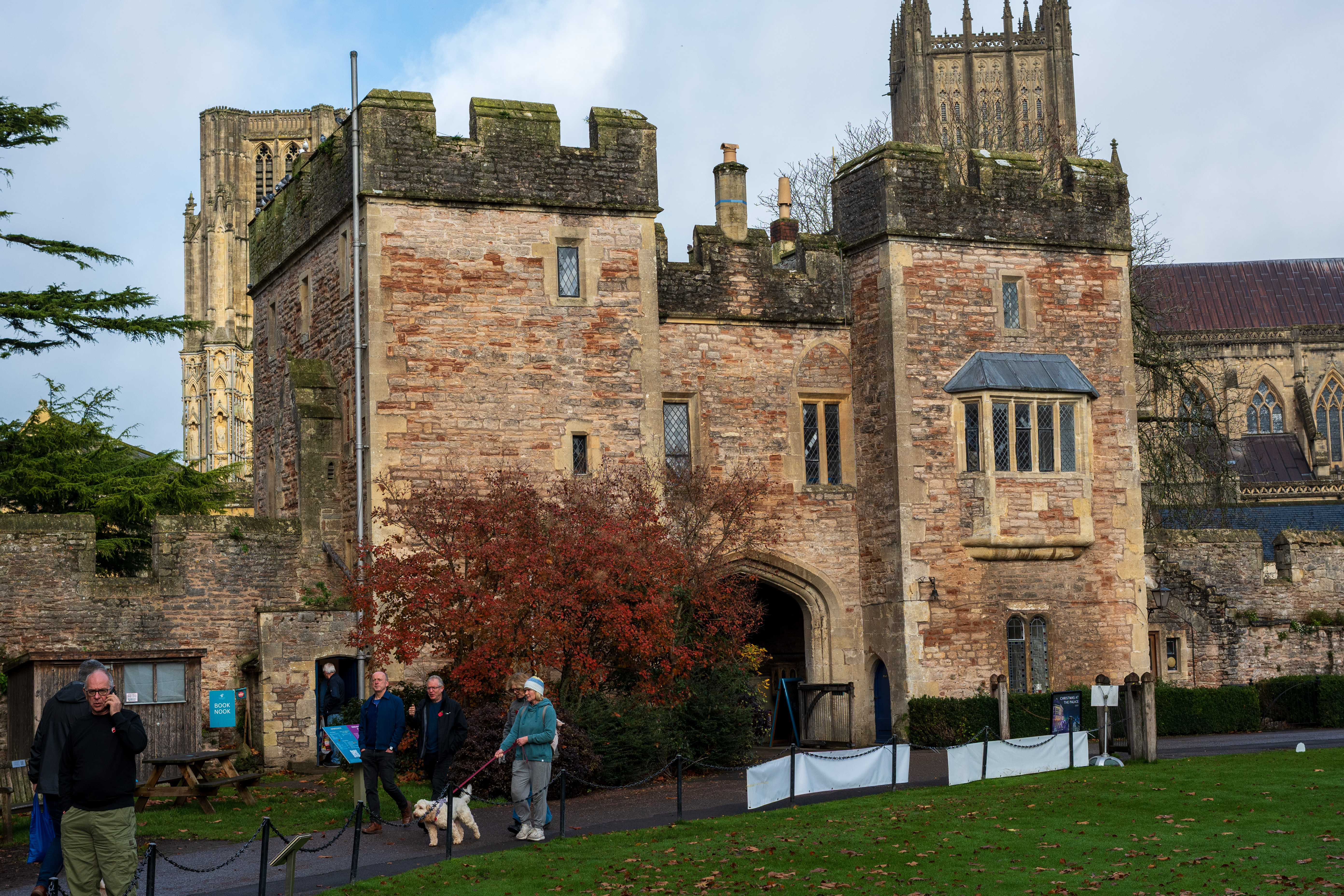 Nikon Z DX MC 35mm f/1.7 example shot