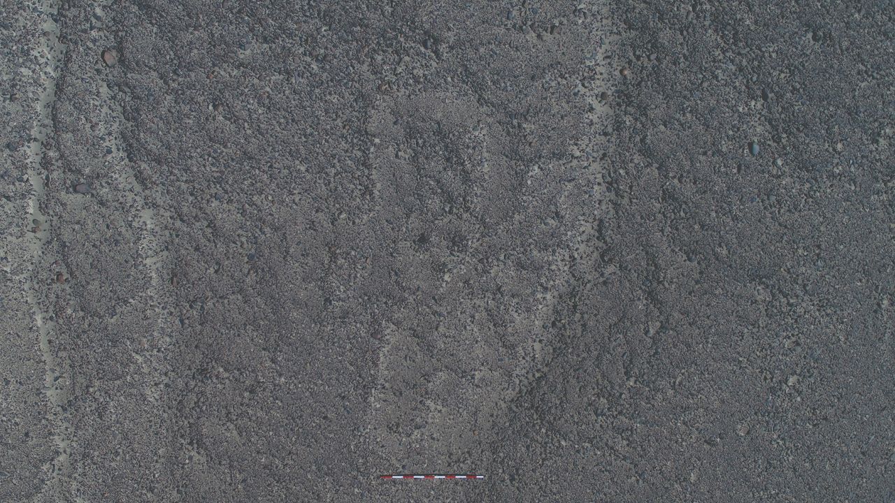 This geoglyph shows a human figure.