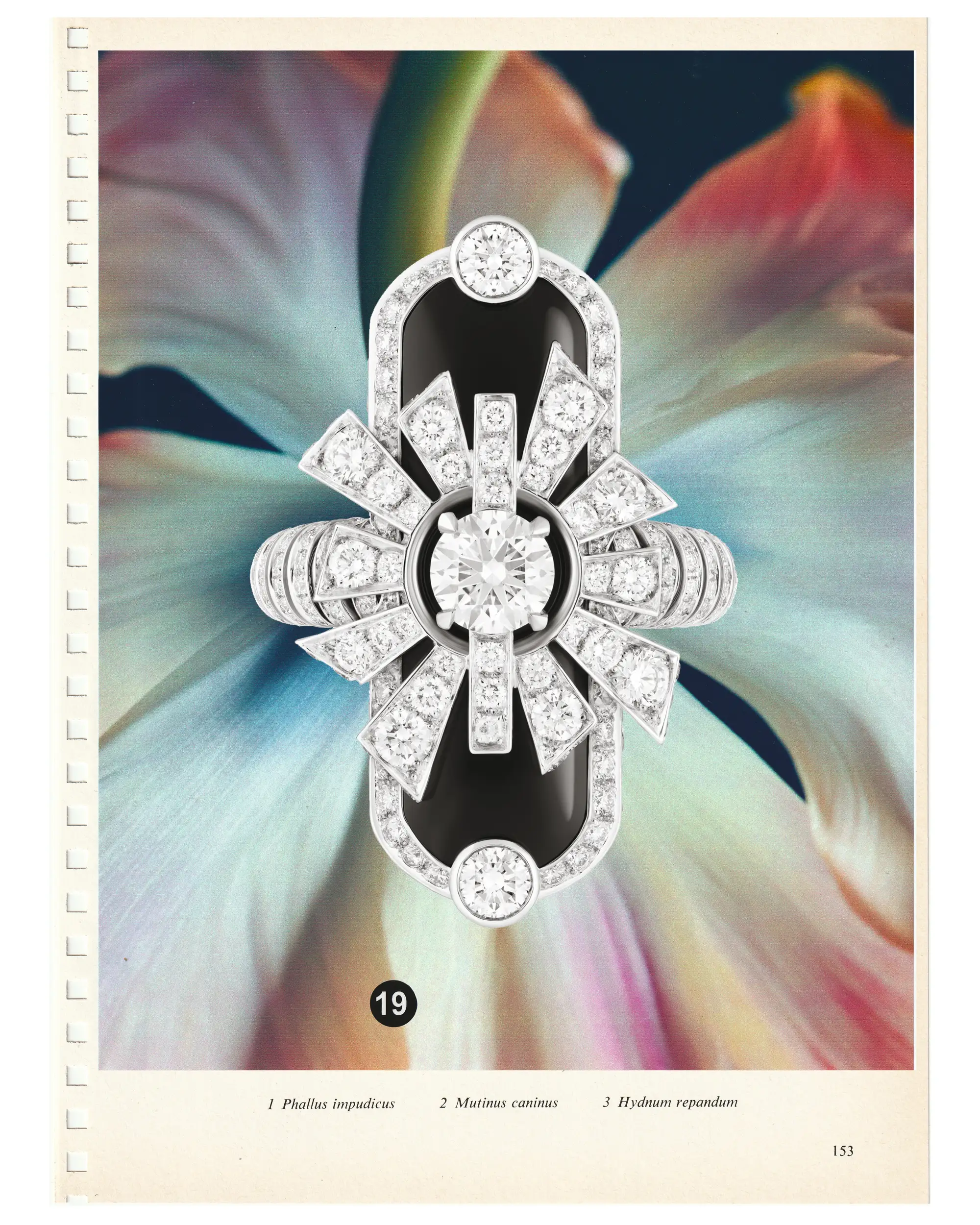 A white diamond ring with a floral shape by Chanel