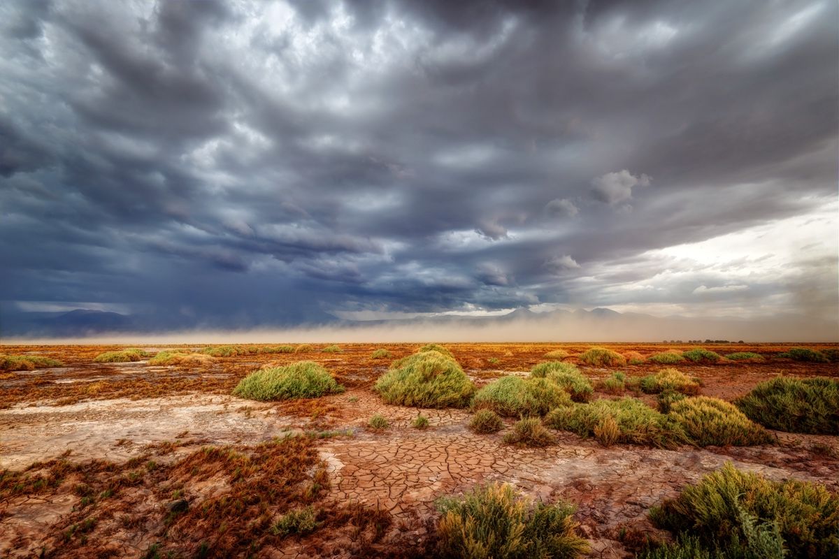 The Atacama desert typically receives less than a half-inch of rain every year.