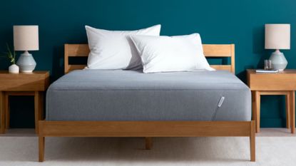 Tuft & Needle sale mattress on wooden bed frame and blue wall for Tuft & Needle labor day sales