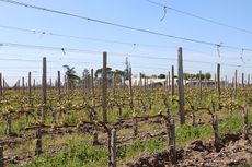 Bordeaux 2017 weather