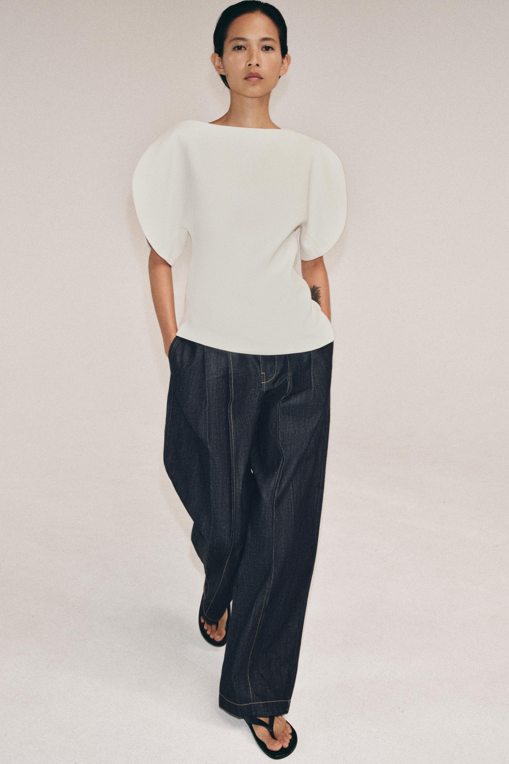 Puff Sleeve Top Zw Collection