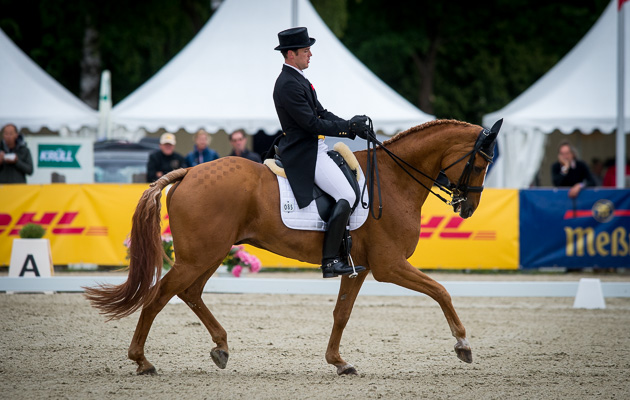 LUHMUHLEN_2015_DR_BEL_DESPONTIN-3079.jpg