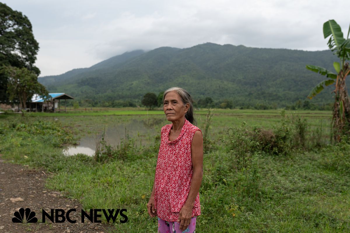 Rescuing the Rainforest on NBC News