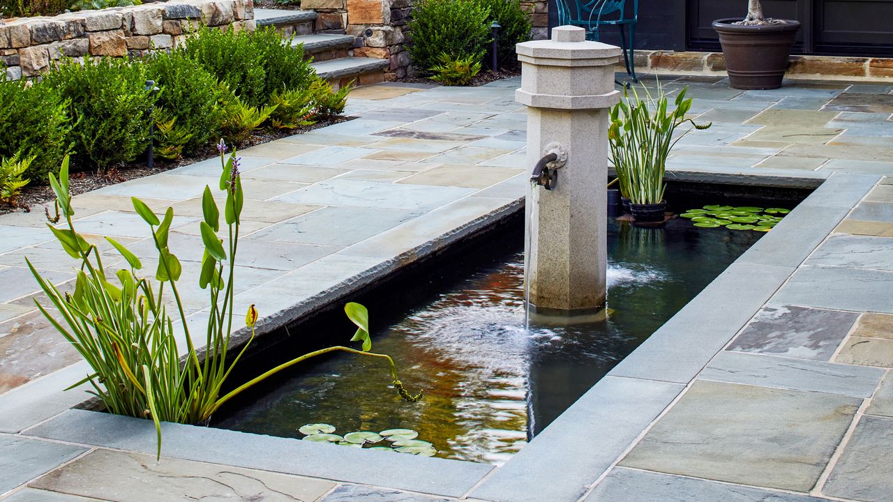 a yard with a natural water feature