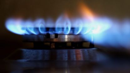 Blue Flame of Gas Stove Burner