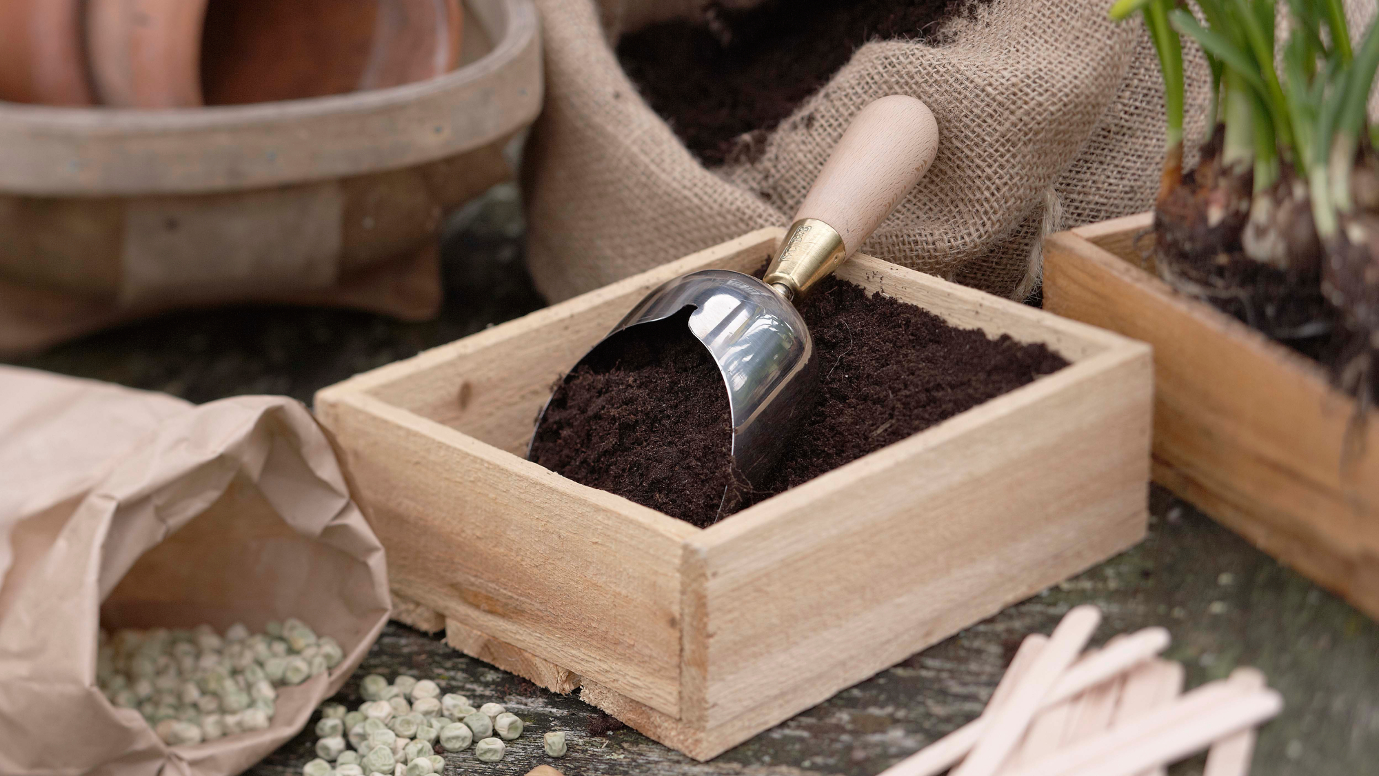 wooden box with soil in, seeds in bags and various gardening tools and other trugs