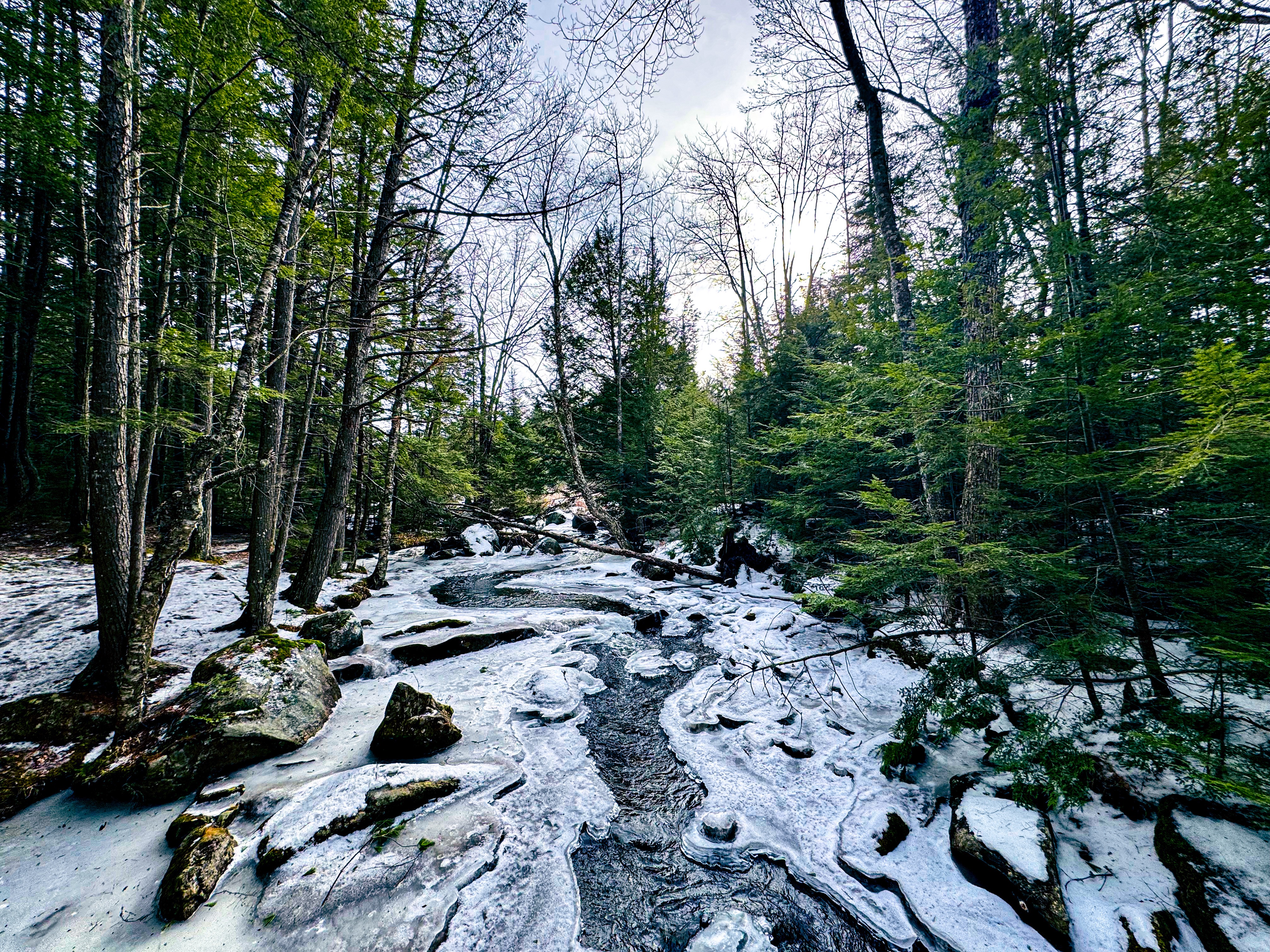 GuruShots - February 2026