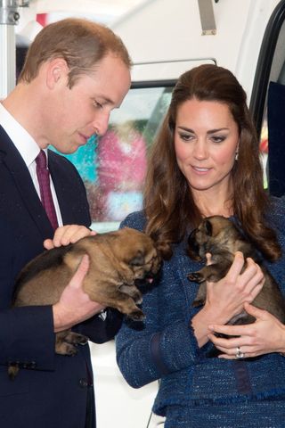 Kate Middleton And Prince William