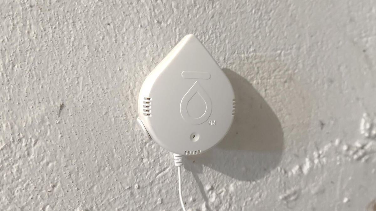 Moen Smart Water Leak Detector