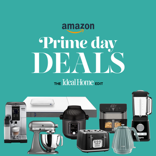 image of amazon prime day graphic with images of appliances likely to be on sale