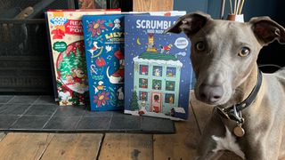 the best advent calendars for dogs in 2022 placed beside a fireplace with Mr brooks the wHippet sat beside them