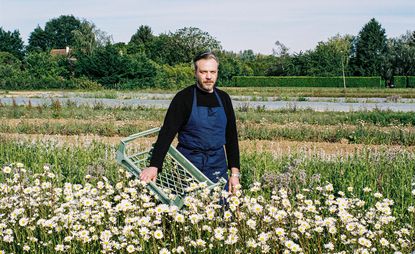 Picking flowers