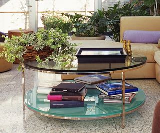 Glass coffee table with plant