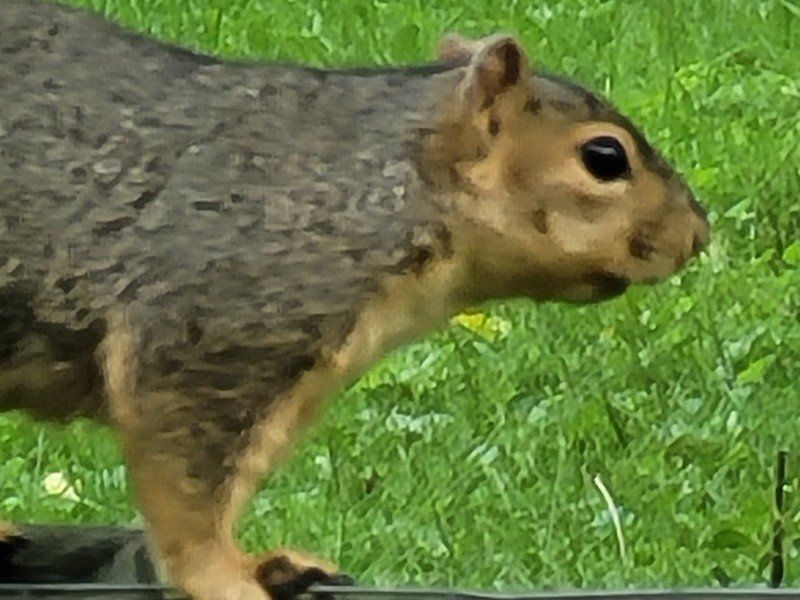 Note 20 Sample Zoom All