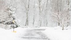 Snowy driveway