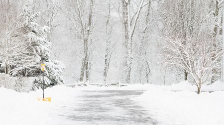 Snowy driveway