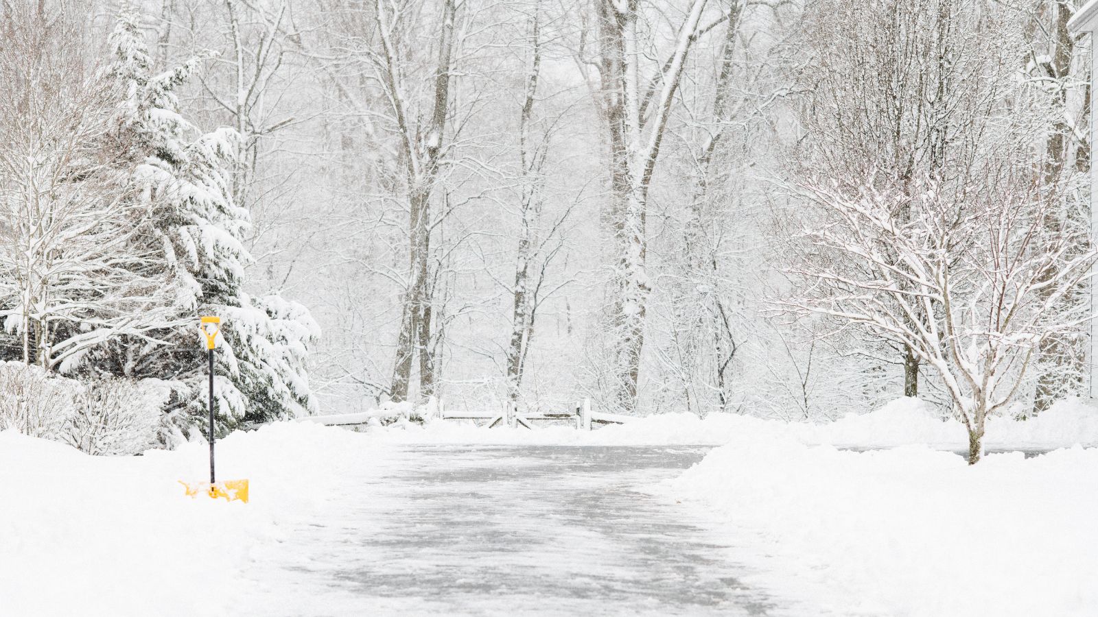 Snowy driveway