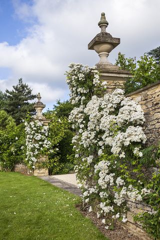 Wychwood Manor © Andrew Lawson