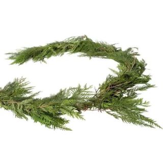 22ft Fresh Evergreen Cedar Christmas Garland