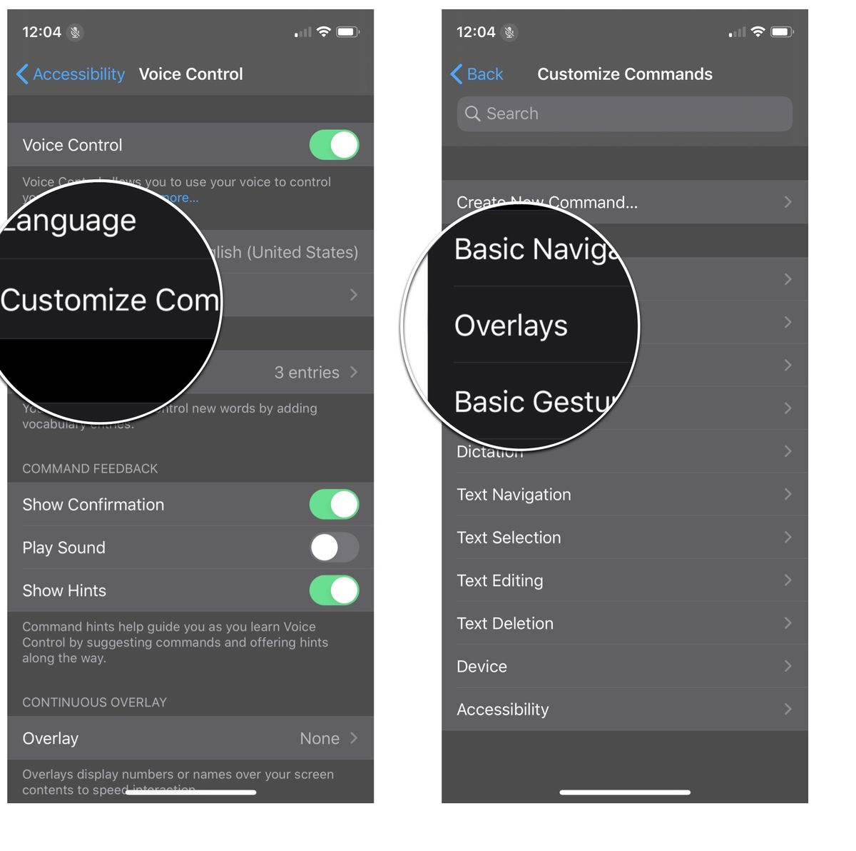 Customize commands menu: Tap Customize Commands and the tap the type of command you want to change
