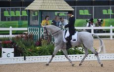 Australian rider Shane Rose on CP Qualified at the Rio Olympics