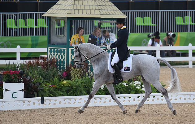 Australian rider Shane Rose on CP Qualified at the Rio Olympics