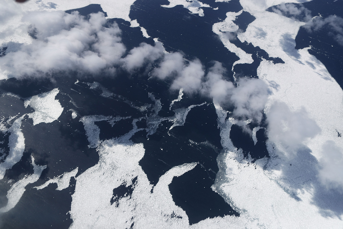 Amazing Antarctica