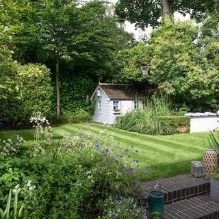 lawn area with white shed and plants