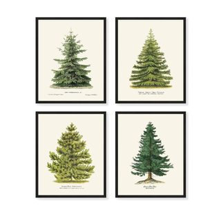 Four fir tree prints