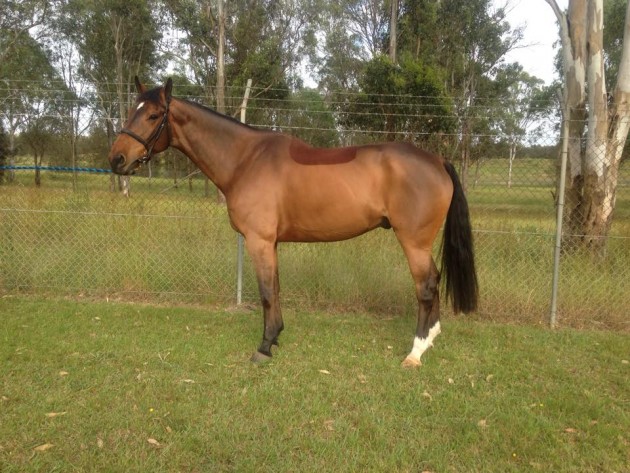 Hilly just before we left quarantine