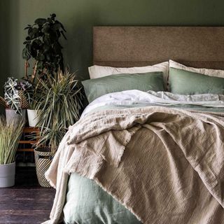 Sage green bedding in a green bedroom