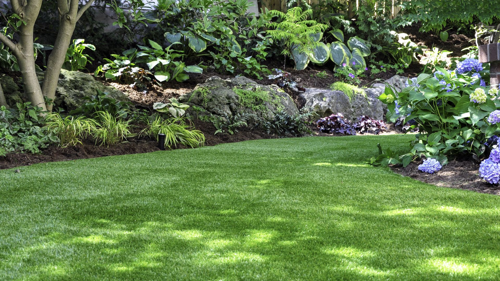 7 Mistakes To Avoid When Using Artificial Turf To Make Your Back Yard More Attractive Tom S Guide