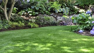 An artificial lawn in a back yard with flowerbeds and plants