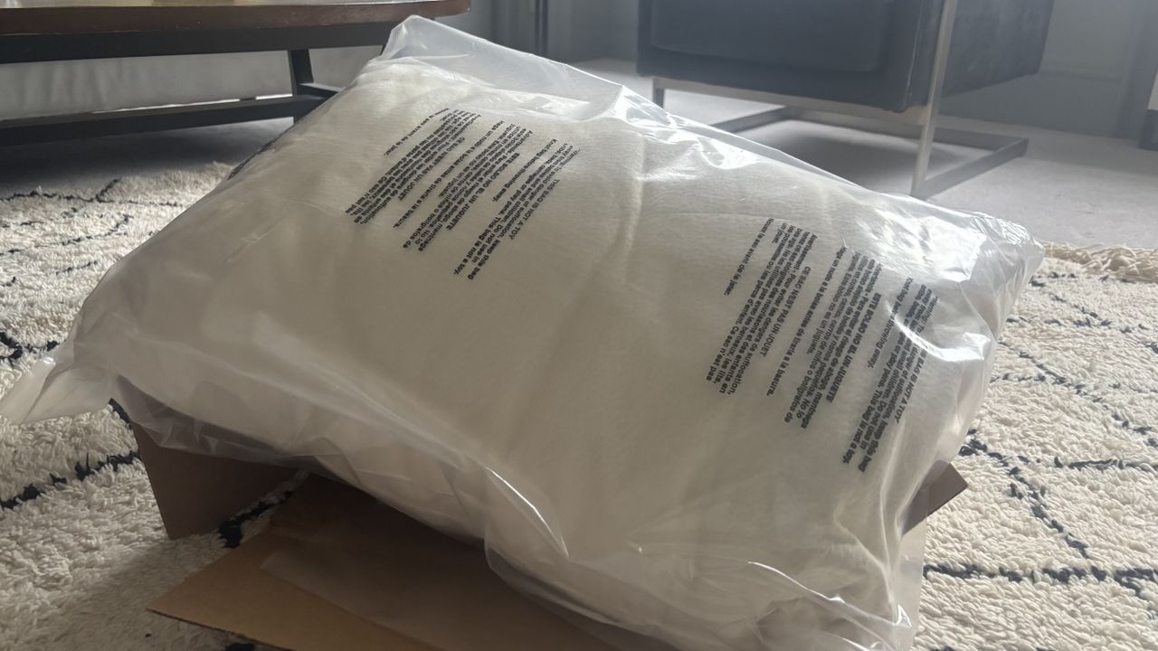The Birch Organic Pillow unboxed but still in its plastic packaging.